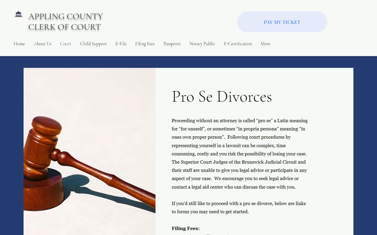 Appling County divorce records pro se divorce filing page